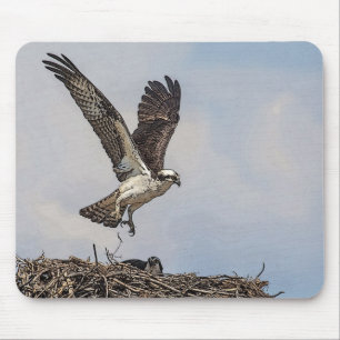 Visarend in een nest muismat