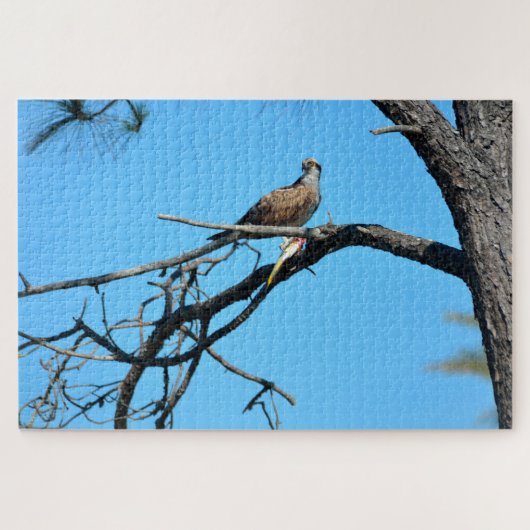 Visarend in het wild legpuzzel (Horizontaal)