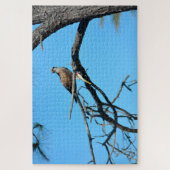 Visarend in het wild legpuzzel (Verticaal)