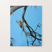 Visarend in het wild legpuzzel (Verticaal)