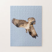 Visarend met een vis legpuzzel (Verticaal)