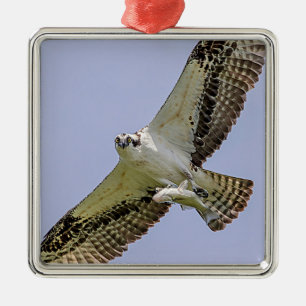 Visarend met een vis metalen ornament