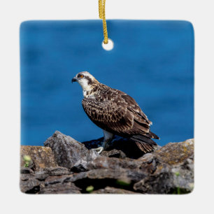 Visarend op de rotsen keramisch ornament