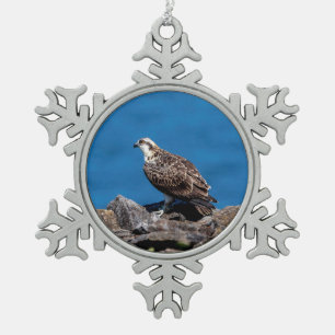 Visarend op de rotsen tin sneeuwvlok ornament