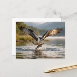 Visarend Schotse Hooglanden Nevelige Zonsopgang Vi Briefkaart