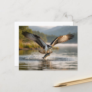 Visarend Schotse Hooglanden Nevelige Zonsopgang Vi Briefkaart