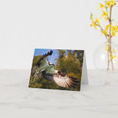 Visarend tijdens de vlucht kaart (Gele Bloem)