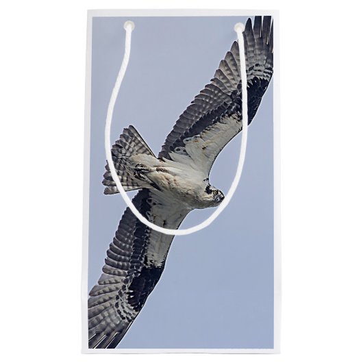 Visarend tijdens de vlucht klein cadeauzakje (Voorkant)