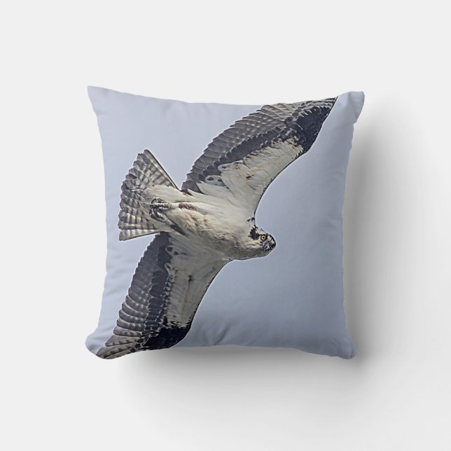 Visarend tijdens de vlucht kussen (Voorkant)