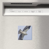 Visarend tijdens de vlucht magneet (Insitu (Vaatwasser))