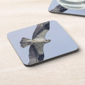 Visarend tijdens de vlucht onderzetter (Linkerzijde)