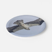 Visarend tijdens de vlucht papieren bordje (Gekanteld)