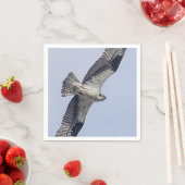 Visarend tijdens de vlucht servet (Insitu)