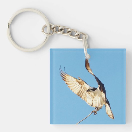 Visarend vliegende vogels Acryl Sleutelhanger (Voorkant)