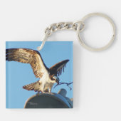 Visarend vliegende vogels Acryl Sleutelhanger (Achterkant)