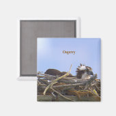 Visarend Vogel Foto Magneet (Voorkant / Achterkant)