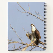 Visarend vogel notitieboek (Achterkant)