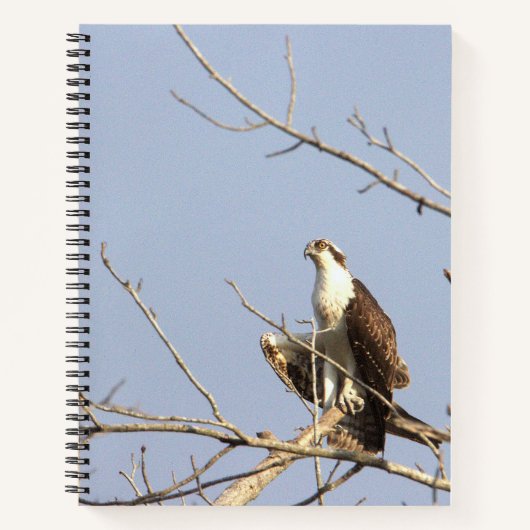 Visarend vogel notitieboek (Voorkant)