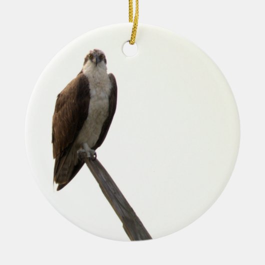 Visarend Vogelornament Keramisch Ornament (Voorkant)