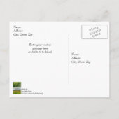 Visboot in beweging Bedankkaartje Briefkaart (Achterkant)