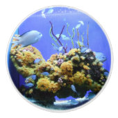 VisBowl Blue Fish Aquarium Keramische Knop (Voorkant)
