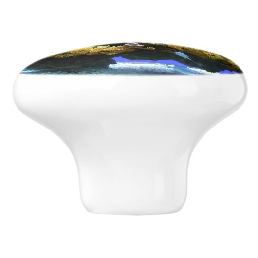 VisBowl Blue Fish Aquarium Keramische Knop (Zijkant)