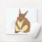 Viscacha Vizcacha Cute Mountain Rodent Lazy Sleepy Muismat (Met muis)