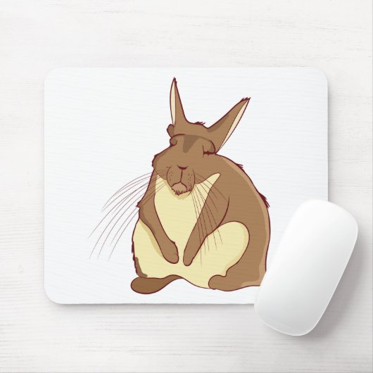 Viscacha Vizcacha Cute Mountain Rodent Lazy Sleepy Muismat (Met muis)