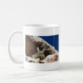 Viscacha zwemmen in de Atacama-woestijn Chili Koffiemok (Links)