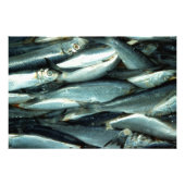 viscanvas foto afdruk (Voorkant)