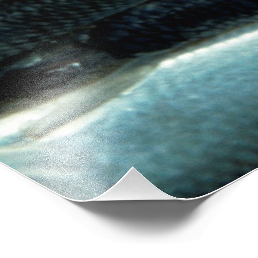 viscanvas foto afdruk (Hoek)