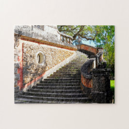 Viscaya Trap Miami Florida. Legpuzzel