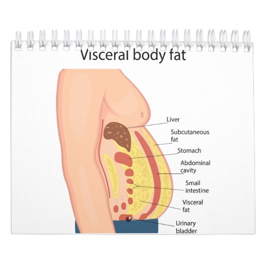 Visceraal lichaamsvet kalender (Hoes)