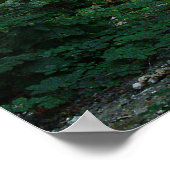 Viscosa 6 poster (Hoek)