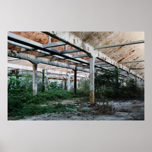 Viscosa 6 poster (Voorkant)