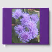 Viscountess Gastenboek (Voorkant)