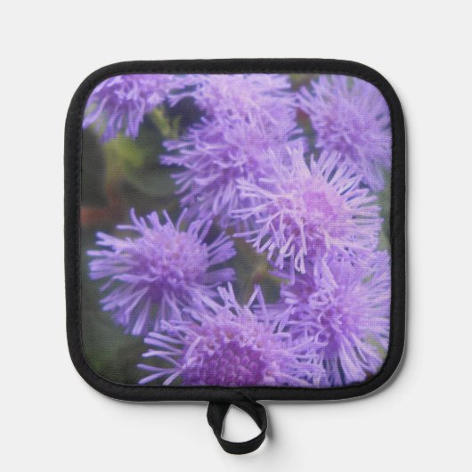 Viscountess Pannenlap (Voorkant)