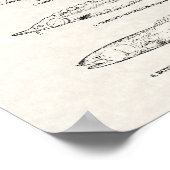  visdiagram - Sturgeon and Paddlefish Poster (Hoek)