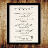  visdiagram - Sturgeon and Paddlefish Poster