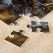 Visdobber in getijdenpoel, Alaska Legpuzzel (Zijkant)