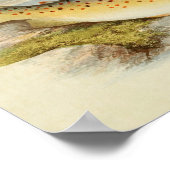  visdruk 026 | Gillaroo-forel Poster (Hoek)