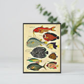 visdruk briefkaart (Staand voorkant)