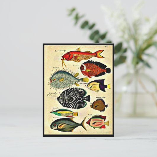 visdruk briefkaart (Staand voorkant)