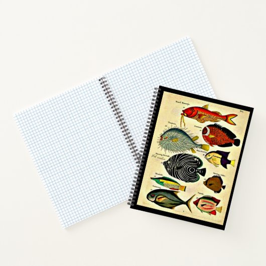 visdruk notitieboek (Binnen)