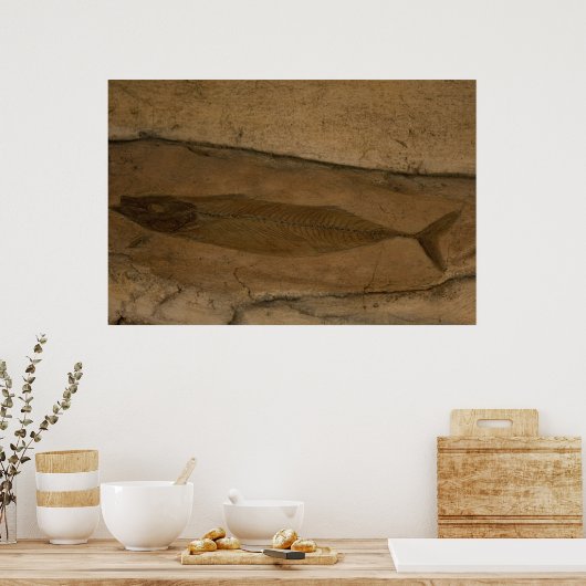 Visfossil Poster (Keuken)