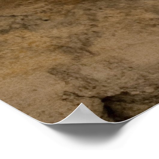 Visfossil Poster (Hoek)