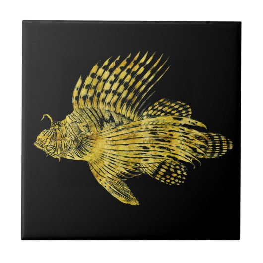 visgoudmakreel Hawaii Tegeltje (Voorkant)