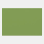 Visgraat Chevron Patroon Forest Green Inpakpapier Vel (Voorkant 2)