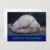 visgras briefkaart (Voorkant / Achterkant)