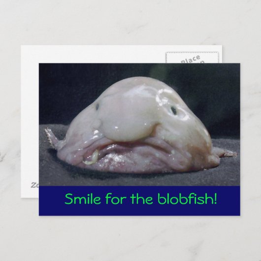 visgras briefkaart (Voorkant / Achterkant)